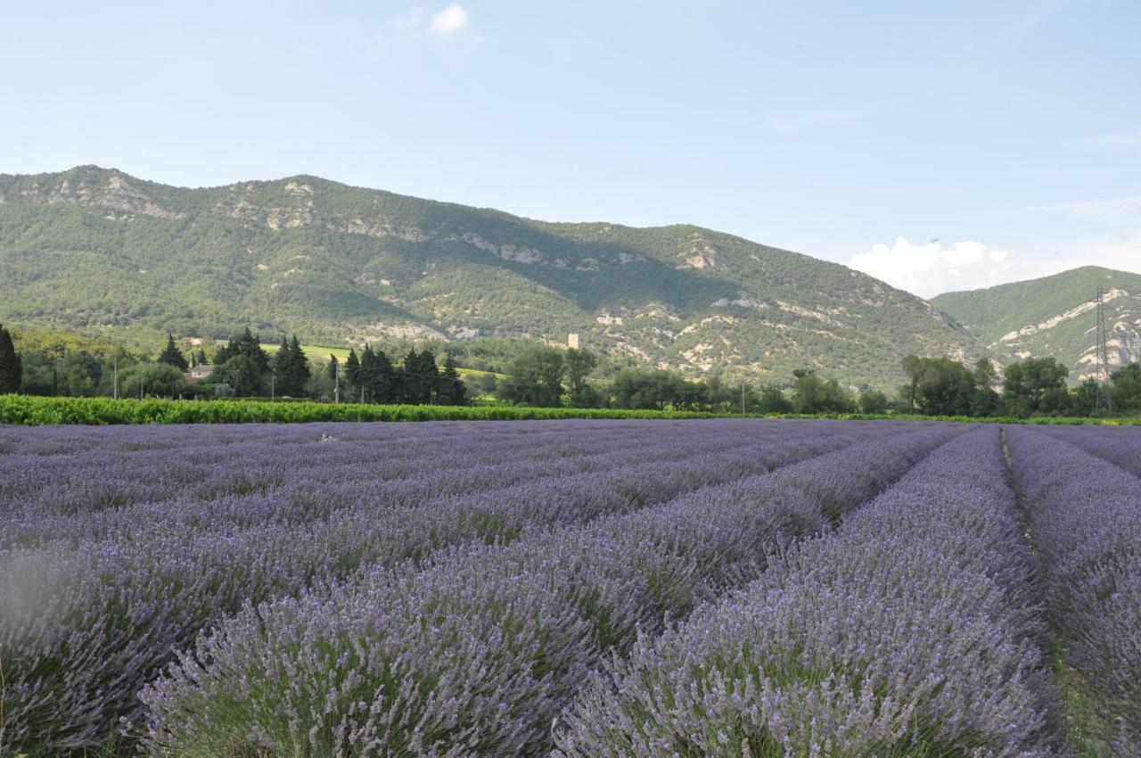 Un Petit Coin De Paradis Le Pegue Exterior photo